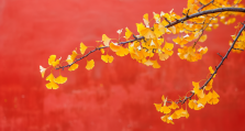 （转）春节反诈攻略请您收藏！