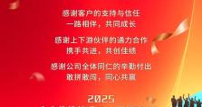 锐意进取，芯业节节高 —— 2024全志科技业绩喜报