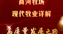 投资者调研商河牧场，现代牧业详解高质量发展之路